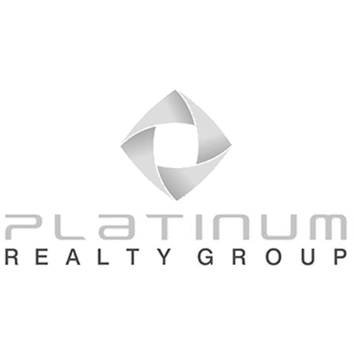 platinum group